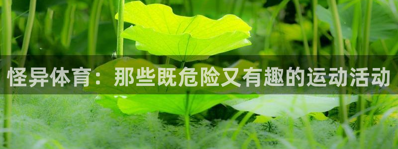 k1体育十年品牌