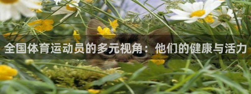 k1体育 十年品牌