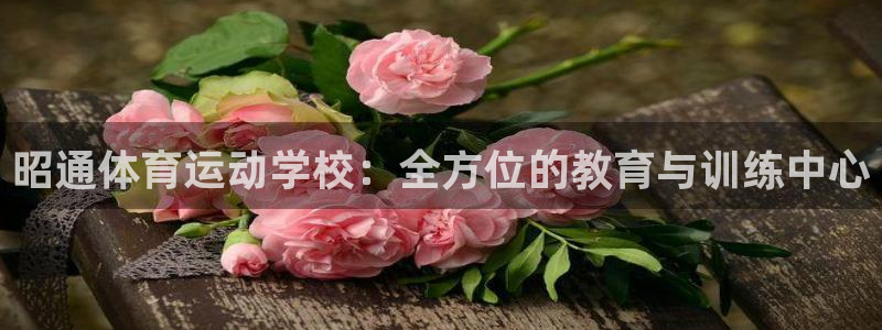 k1体育棋牌