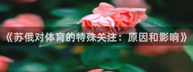 k1体育网站登录官网