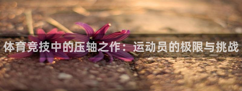 k1体育链接