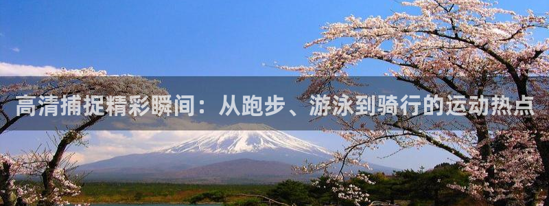 k1体育十年品牌官网
