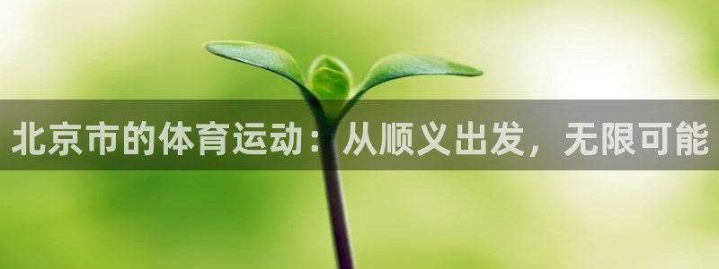 k1体育网址是多少