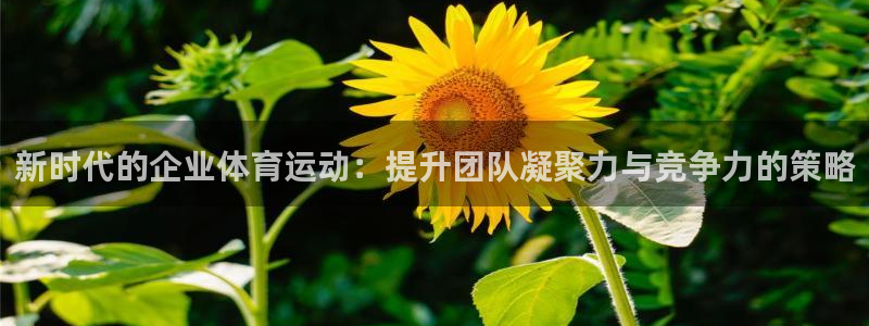 k1体育平台3915