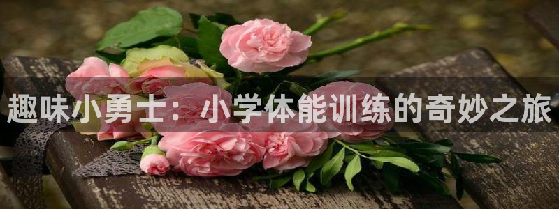 k1体育入口