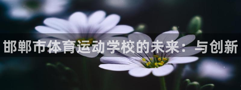 k1体育娱乐